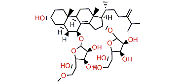 Anthenoside V